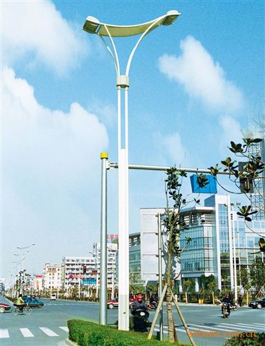 道路燈系列 廠家直銷路燈 庭院燈 草坪燈 路燈燈桿 led路燈 太陽能路燈燈桿