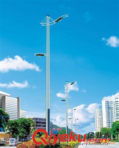 道路燈系列 行內(nèi){zd1}價(jià)銷售各種尺寸的路燈雙臂燈燈桿，單臂燈桿，路燈桿
