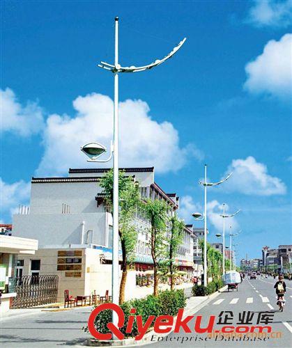 道路燈系列 東莞同行業領軍企業專業低價優惠直銷 各類型道路燈桿