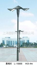 景觀燈 中山路燈廠家批發(fā)戶外太陽能LED景觀燈 園林燈具 廣場燈柱原始圖片3