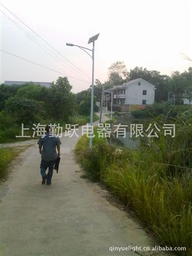 太陽能燈 戶外照明道路燈廠家直供太陽能路燈 路燈桿廠家 中華燈 路燈頭原始圖片2