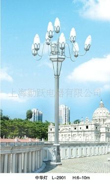 道路照明燈 中山戶外亮化工程廠家直供中華燈 公園燈 別墅燈 園林燈原始圖片2