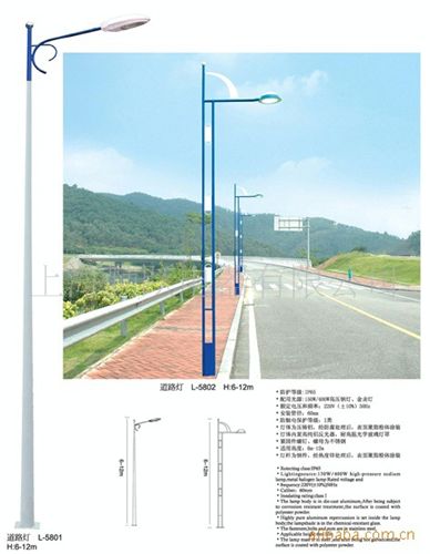 道路照明燈 中山路燈廠家直供太陽能LED路燈頭 路燈桿 道路燈 戶外照明燈原始圖片2