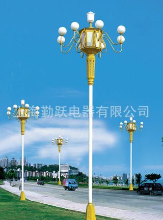 道路照明燈 中山戶外照明廠家直供中華燈 道路燈 路燈桿 LED路燈頭