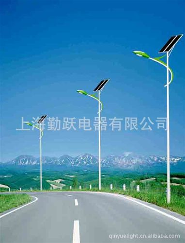 道路照明燈 中山路燈廠家直供太陽能LED路燈頭 路燈桿 道路燈 戶外照明燈原始圖片3