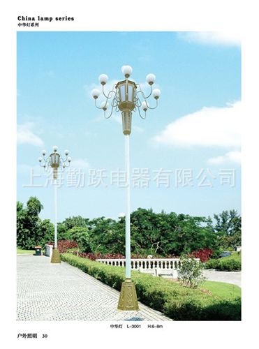 道路照明燈 中山路燈廠家直供中華燈 太陽(yáng)能道路燈 LED路燈頭 路燈桿原始圖片2