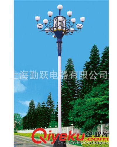 道路照明燈 中山路燈廠家直供中華燈 太陽(yáng)能道路燈 LED路燈頭 路燈桿原始圖片3