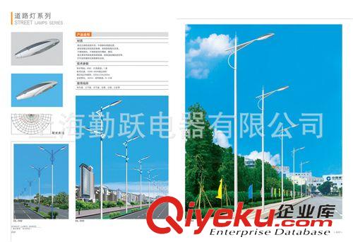 道路照明燈 中山路燈廠家直供太陽能LED路燈頭 路燈桿 道路燈 戶外照明燈原始圖片2