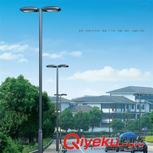 道路照明燈 專(zhuān)業(yè)生產(chǎn)廠家 直銷(xiāo)戶外照明燈具 雙臂LED路燈 雙臂道路燈