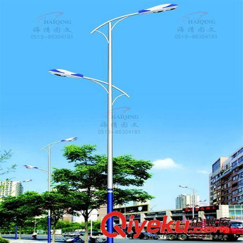 道路照明燈 供應(yīng)雙臂路燈 戶外照明雙臂路燈 精品雙臂路燈 2014新品
