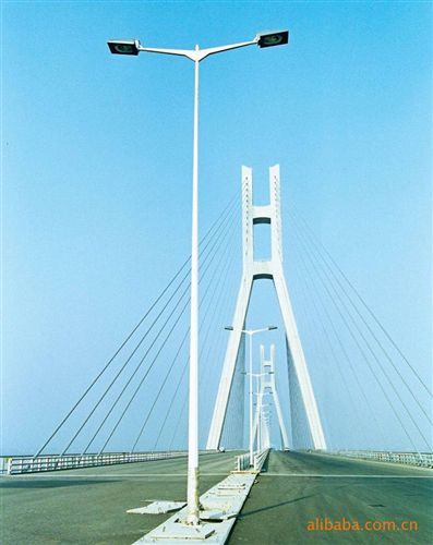 路燈桿 5-12米路燈桿、熱鍍鋅噴塑路燈桿、質(zhì)優(yōu)價廉路燈桿