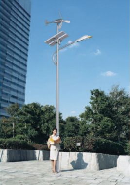 風光互補路燈 10米80w太陽能風能路燈 風光互補路燈 太陽能路燈LED路燈 道路燈