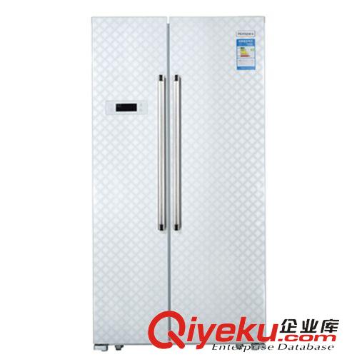 家用冷柜 新品熱銷奧馬BCD-218變溫冷柜  1級(jí)保鮮柜冷藏柜家用制冷設(shè)備冷柜