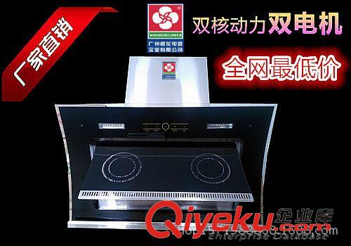 油煙機(jī)系列 蒸汽洗 自動(dòng)清洗 油煙機(jī) 側(cè)吸式免拆洗 吸抽油煙機(jī)廣州櫻花 zp
