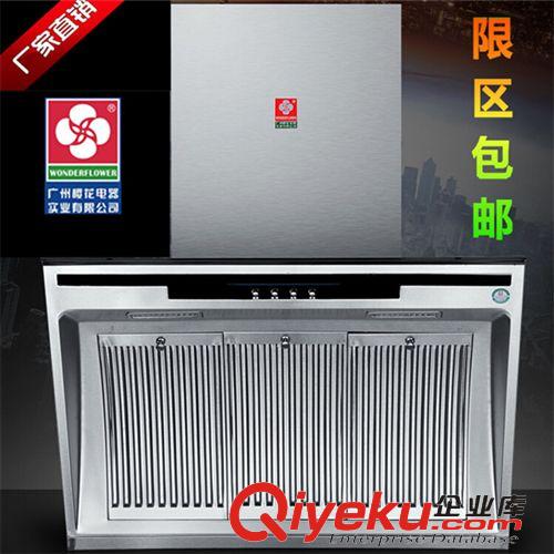 油煙機(jī)系列 廠家批發(fā) 不銹鋼側(cè)吸式吸油煙機(jī) 廣州櫻花抽油煙機(jī) 量大從優(yōu)