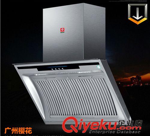 油煙機(jī)系列 廠家批發(fā) 不銹鋼側(cè)吸式吸油煙機(jī) 廣州櫻花抽油煙機(jī) 量大從優(yōu)原始圖片2