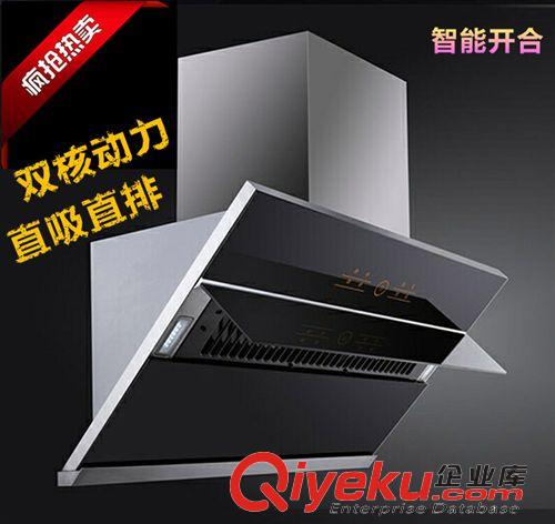 油煙機(jī)系列 廠家批發(fā) 不銹鋼側(cè)吸式吸油煙機(jī) 廣州櫻花抽油煙機(jī) 量大從優(yōu)