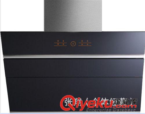 油煙機(jī)系列 廠家直銷 櫻花油煙機(jī) 雙電機(jī)側(cè)吸式吸油煙機(jī) 免拆洗 抽油煙機(jī)015原始圖片2