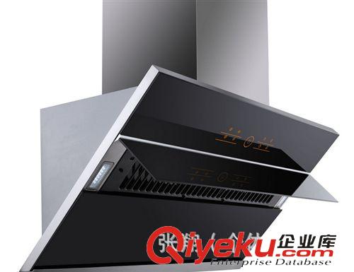 油煙機(jī)系列 廠家直銷 櫻花油煙機(jī) 雙電機(jī)側(cè)吸式吸油煙機(jī) 免拆洗 抽油煙機(jī)015原始圖片3