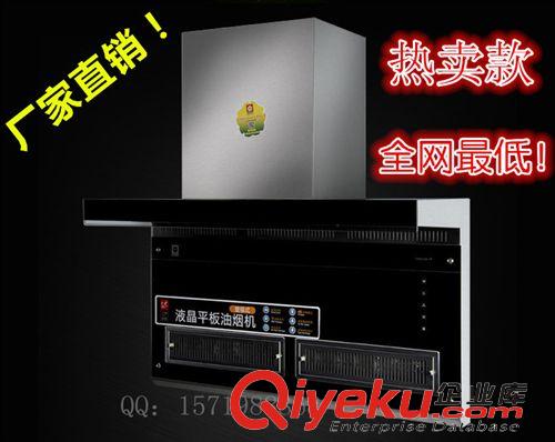 油煙機(jī)系列 廠家直銷 櫻花油煙機(jī) 雙電機(jī)側(cè)吸式吸油煙機(jī) 免拆洗 抽油煙機(jī)015