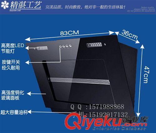 油煙機(jī)系列 廠家直銷 側(cè)吸式抽油煙機(jī) 廣州櫻花C01吸油煙機(jī) 批發(fā) 零售原始圖片3