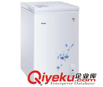 冷柜 Haier/海爾 BC/BD-103HA 家用冷凍柜/存放臘肉/103升/鎖住營養