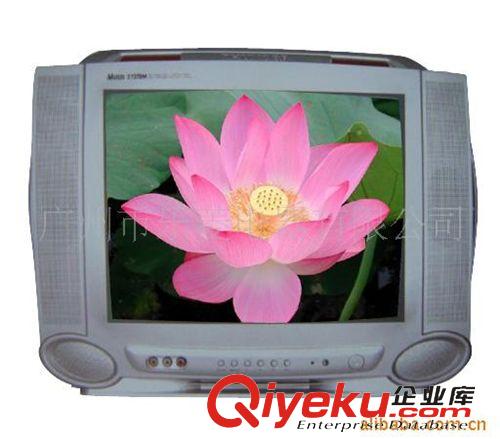 CRT TV 廣東省地區(qū)廠家供應(yīng)樂菱直銷無輻射 高清晰CRT TV