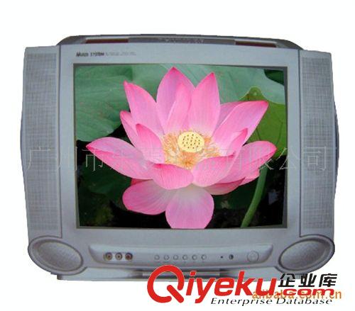 CRT TV 廣東省地區(qū)廠家供應(yīng)樂菱直銷無輻射 高清晰CRT TV原始圖片2