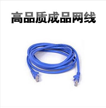 線材專區(qū) 電腦配件批發(fā) 原裝成品 網(wǎng)線 1米（密封套裝.全機(jī)器合成）原始圖片2