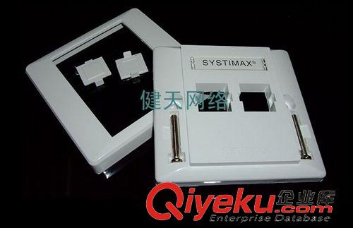 網(wǎng)絡工程系列 gd豪華 康普雙口面板 信息面板 屏蔽面板 電話模塊面板原始圖片3