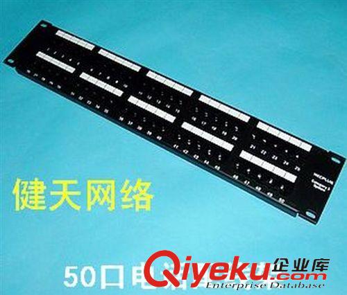網(wǎng)絡(luò)工程系列 50口電話配線架 50口語音配線架 rj11端口數(shù)據(jù)語音配線架原始圖片3
