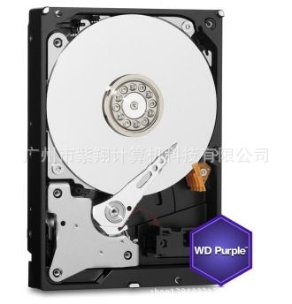 硬盤(pán) 西部數(shù)據(jù)(WD)紫盤(pán) 4TB SATA6Gb/s 64M 監(jiān)控硬盤(pán) (WD40PURX)原始圖片3