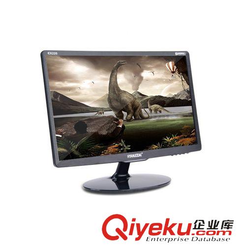 液晶顯示器 廠家直銷19/22/24寸wm高清LED液晶顯示器 全視角電腦顯示wm屏原始圖片2