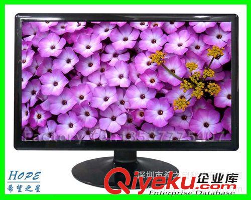 液晶顯示器-LCD monitor 19寸寬屏液晶顯示器 LCD LED液晶顯示屏