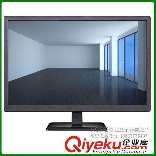 LED液晶顯示器(LED monitor) 20寸LED背光液晶顯示器 高清電腦顯示器 工廠批發P2007W