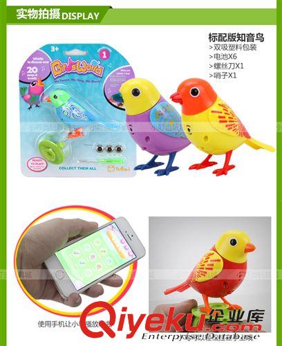 早教玩具 智能知音鳥 電動聲控鳥 語音識別 手機APP控制熱銷電動鳥原始圖片3