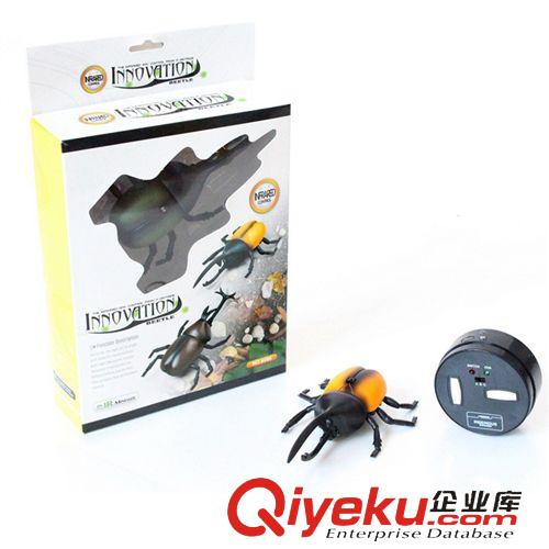 遙控系列 樂禹zp整蠱創(chuàng)意遙控車甲蟲 gf真益智兒童玩具 廠家直銷原始圖片3