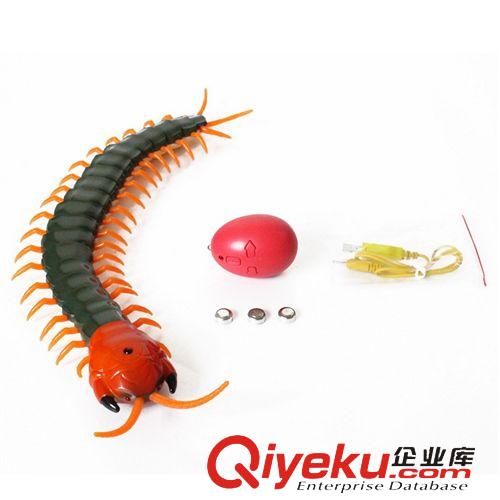 遙控系列 樂禹zp整蠱創(chuàng)意遙控車蜈蚣電子寵物動物模型gf真益智兒童玩具原始圖片3
