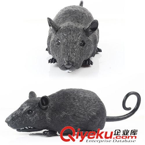 遙控系列 樂禹zp整蠱創(chuàng)意遙控仿真老鼠寵物動物模型gf真益智兒童玩具原始圖片3