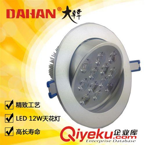 LED系列  12WLED天花燈 LED投射燈 室內(nèi)照明燈具 led照明 節(jié)能 廠家直銷