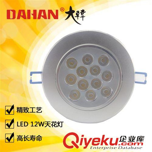 LED系列  12WLED天花燈 LED投射燈 室內(nèi)照明燈具 led照明 節(jié)能 廠家直銷