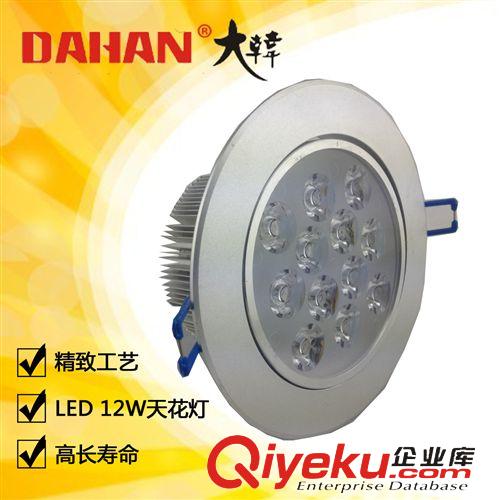 LED系列  12WLED天花燈 LED投射燈 室內(nèi)照明燈具 led照明 節(jié)能 廠家直銷