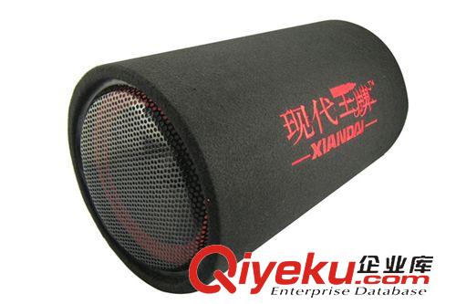 影音系列 Audio Appliance Serie 5寸 12V220V三用車載低音炮 汽車/摩托車低音炮  現(xiàn)代{wp} 可混批