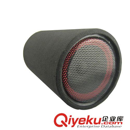 影音系列 Audio Appliance Serie 6寸 12V220V三用車載低音炮 汽車/摩托車低音炮 現(xiàn)代{wp} 可混批