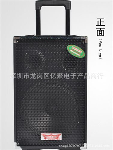 戶外可充電低音炮 特美聲飛揚Q10 戶外大功率拉桿電瓶音響10寸 移動廣場舞便攜音箱原始圖片2