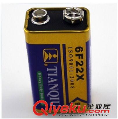 熱門產品 天球 9V電池 6F22X 無線話筒 玩具萬用表測試儀遙控器電池原始圖片2