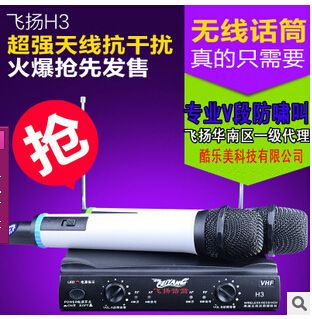 KTV 話筒，麥克風 飛揚專業無線麥克風 一拖二 家用KTV專用 專業電腦卡拉OK無線話原始圖片2