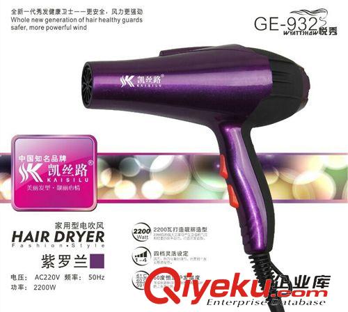 吹風(fēng)機系列 凱絲路GE-932吹風(fēng)機電吹風(fēng)吹風(fēng)筒美發(fā)大功率靜音冷熱風(fēng)廠家直銷中原始圖片2
