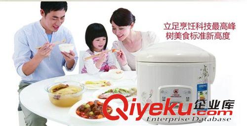 家用電飯煲系列 廣東zp紅三角電飯煲 迷你學生節能電飯鍋 新款上市原始圖片3