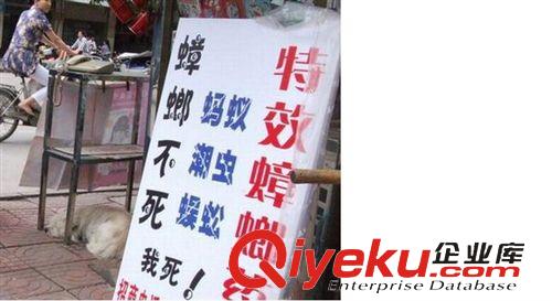 日用百貨 批發(fā)強(qiáng)力滅蟑清滅蟑螂藥小蠊{tx}藥滅蟑螂藥{tx}餌劑全窩端bs死原始圖片2